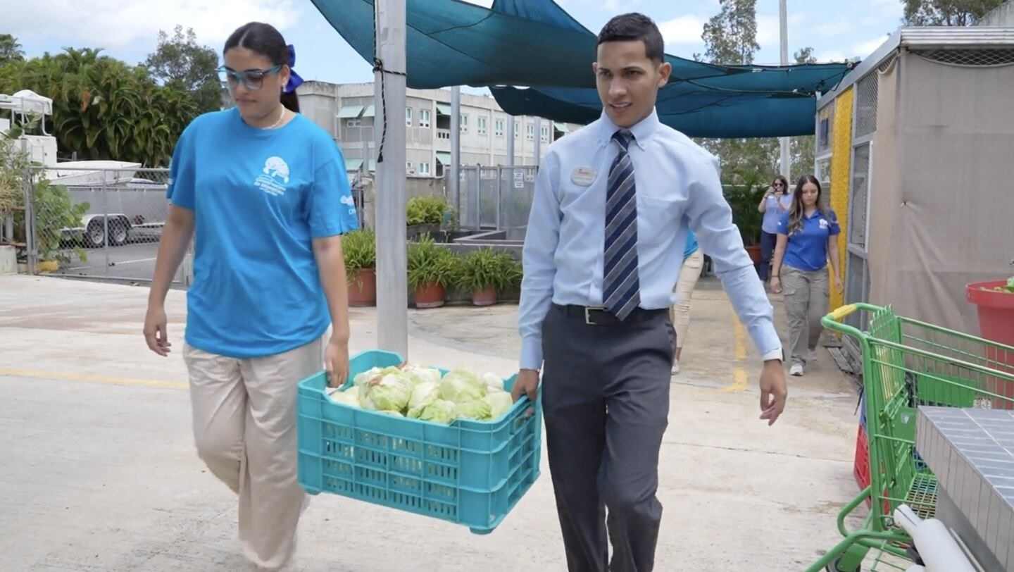A Chick-fil-A Team Member and volunteer taking leftover lettuce from Chick-fil-A Los Filtros in Puerto Rico to be donated to the Caribbean Manatee Conservation Center.