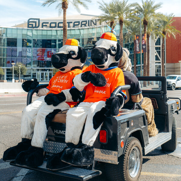 The Cows in downtown Phoenix.
