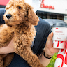 Customer holding their puppy in one hand and their Chick-fil-A food bag and coffee in the other