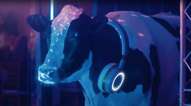 A cow standing in a dark room with headphones around its neck
