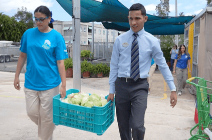 Two people outside carrying a large crate of lettuce heads