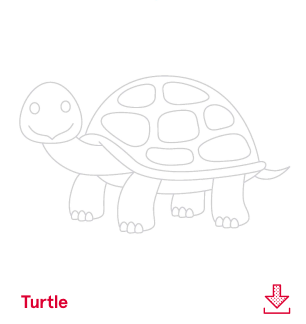Turtle outline drawing