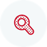 Red Key Icon