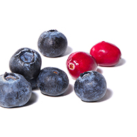 Closeup of blueberries and cranberries on a white background
