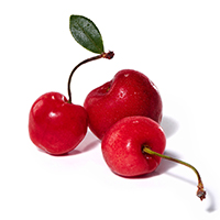Closeup of cherries on a white background