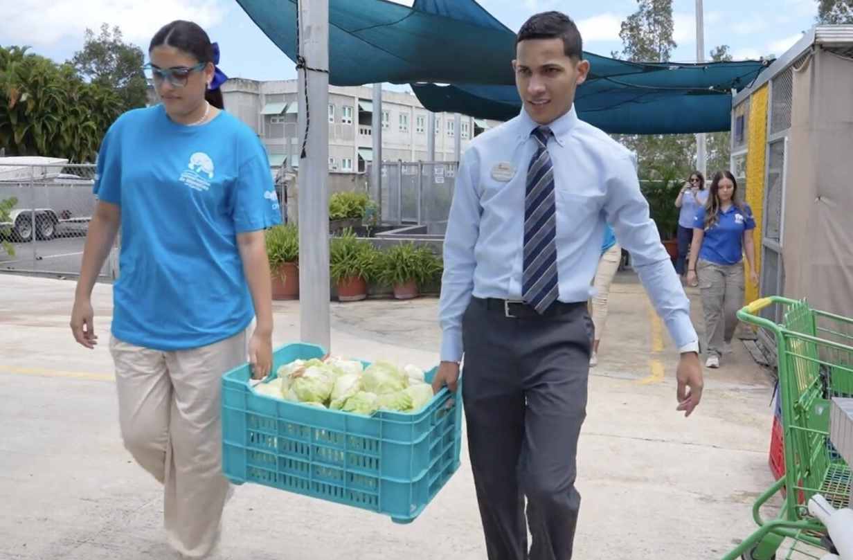 A Chick-fil-A Team Member and volunteer taking leftover lettuce from Chick-fil-A Los Filtros in Puerto Rico to be donated to the Caribbean Manatee Conservation Center.